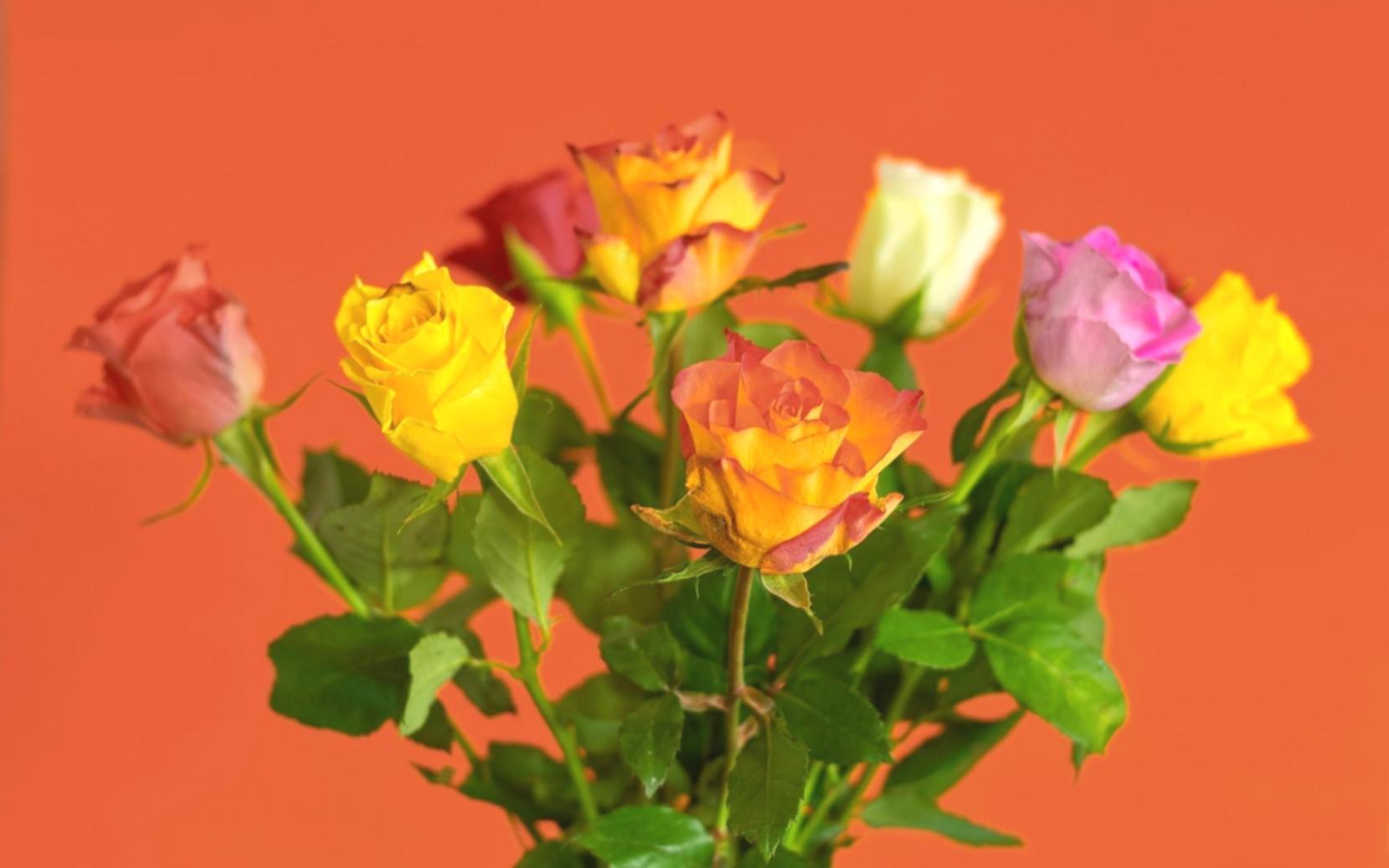 Artisan creating custom floral arrangement with attention to detail and personal touch